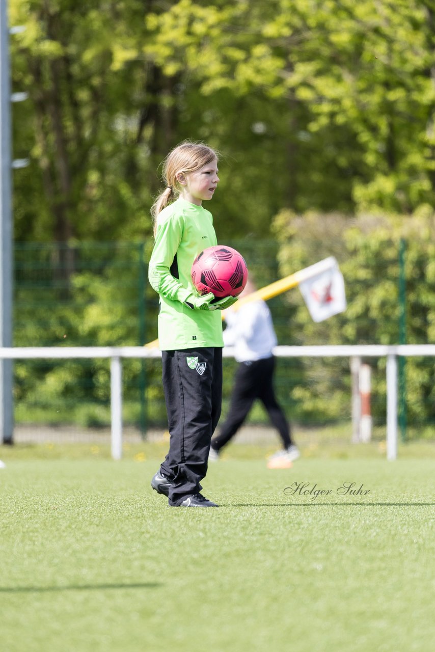 Bild 186 - wBJ SV Wahlstedt - TSV Wentorf-Dandesneben : Ergebnis: 7:1